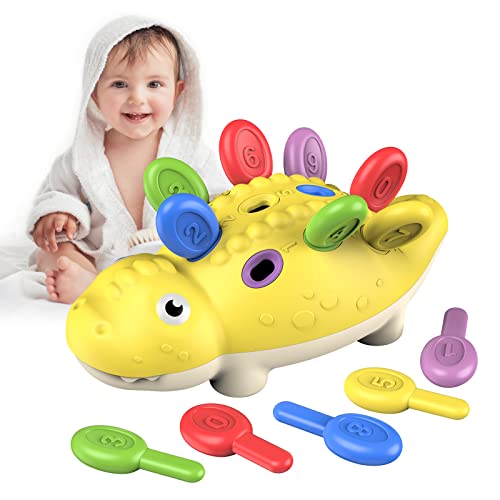 DFGEE Baby Montessori Toys Dinosaur Games Toddler Sensory Fine Motor Skills Learning Educational Activities Outdoor Developmental Toys Gifts for 18 Month Age 2 3 4 One Two Year Old Boys Girls Kids by XingTaiHuanShuoDianZiShangWuYouXianGongSi