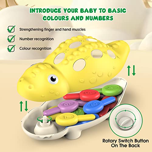 DFGEE Baby Montessori Toys Dinosaur Games Toddler Sensory Fine Motor Skills Learning Educational Activities Outdoor Developmental Toys Gifts for 18 Month Age 2 3 4 One Two Year Old Boys Girls Kids by XingTaiHuanShuoDianZiShangWuYouXianGongSi