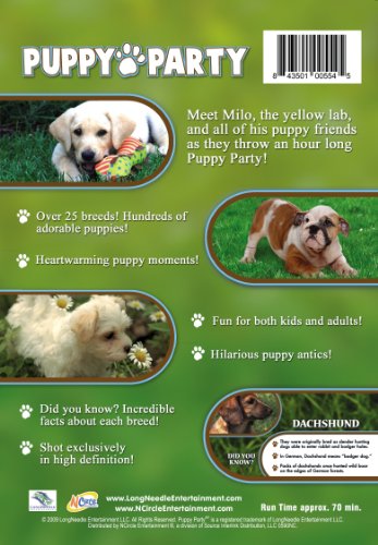 Puppy Party from Animal Atlas