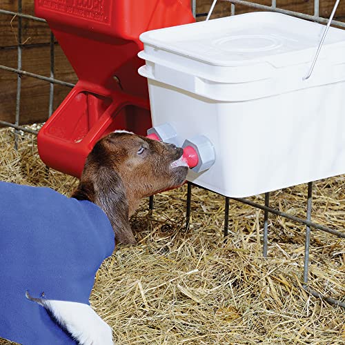 Premier Lamb 'N' Goat Kid Orphan Feeding Bucket (2 Gallon, 4 Teat Units) from Premier 1 Supplies