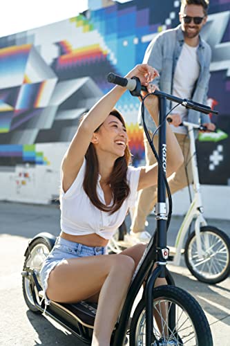 Razor EcoSmart SUP Electric Scooter â 16" Air-Filled Tires, Wide Bamboo Deck, 350w High-Torque Hub-Driven Motor, Up to 15.5 mph & 12-Mile Range, Rear-Wheel Drive by Razor USA, LLC