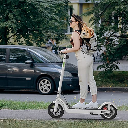 isinwheel X3Pro Electric Scooter, 1200W Motor E-Scooter,12" Fat Tires, 37 Miles Range, 28 Mph Portable Folding Commuter Electric Scooter for Adults, Maximum Load 400lbs & 4 Speed Modes by NEOZIN(WEIHAI)EV CO., LTD