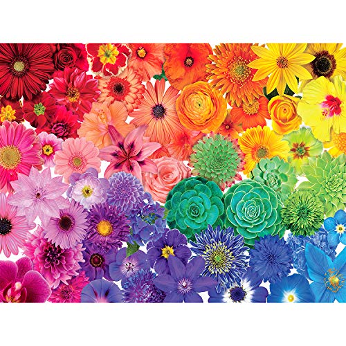 Genion Jigsaw Puzzles for Adults 1000 Piece - Rainbow Flowers Puzzle Game Large 1000 pcs Artwork Gifts for Adults Teens Families - 27.56ââ x 19.69ââ (Upgraded) from Genion