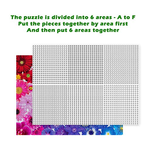 Genion Jigsaw Puzzles for Adults 1000 Piece - Rainbow Flowers Puzzle Game Large 1000 pcs Artwork Gifts for Adults Teens Families - 27.56ââ x 19.69ââ (Upgraded) from Genion