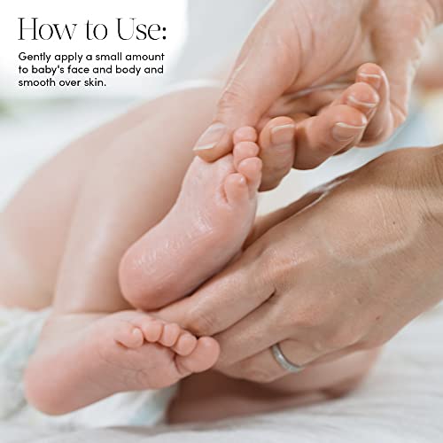 Evereden Baby Moisturizing Lotion: Fragrance Free, 8.5 fl oz. | Clean and Unscented Baby Care | Natural and Plant Based | Non-toxic and Fragrance Free by Evereden