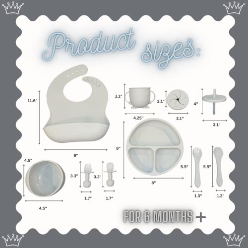 Baby Led Weaning 10 Piece Feeding Eating Supplies | Strong Suction Plate Silicone Cup Snack Lid Drink Lid with Straw Silicone Suction Bowl Bib Spoons Forks Baby Tableware Set 6MonthsToToddler (Blue) by Aisen Silicone