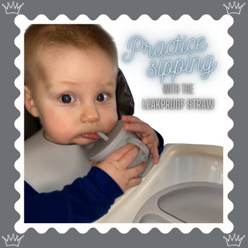 Baby Led Weaning 10 Piece Feeding Eating Supplies | Strong Suction Plate Silicone Cup Snack Lid Drink Lid with Straw Silicone Suction Bowl Bib Spoons Forks Baby Tableware Set 6MonthsToToddler (Blue) by Aisen Silicone