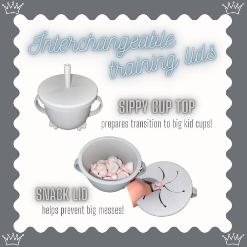 Baby Led Weaning 10 Piece Feeding Eating Supplies | Strong Suction Plate Silicone Cup Snack Lid Drink Lid with Straw Silicone Suction Bowl Bib Spoons Forks Baby Tableware Set 6MonthsToToddler (Blue) by Aisen Silicone