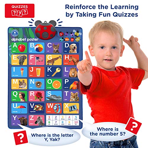 LEARNING BUGS Interactive ABC & 123s Talking Poster & Musical Wall Chart, Best Educational Toy for 2 Year olds and 3 Year olds. Electronic Toddler Toys for Boys & Girls. by Learning Bugs