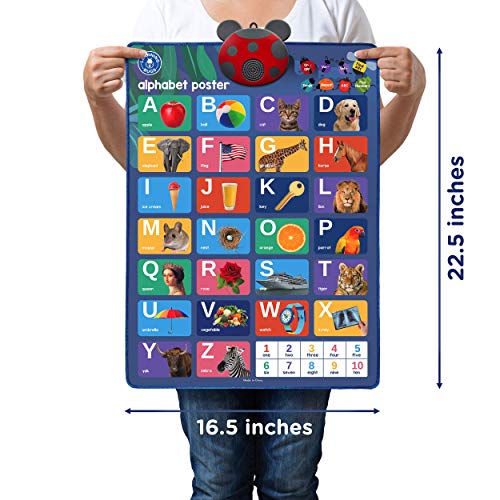 LEARNING BUGS Interactive ABC & 123s Talking Poster & Musical Wall Chart, Best Educational Toy for 2 Year olds and 3 Year olds. Electronic Toddler Toys for Boys & Girls. by Learning Bugs