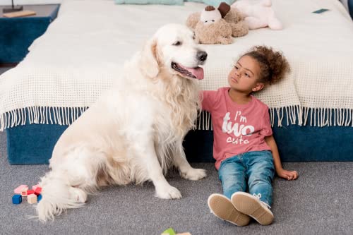 2nd Birthday Outfits for Toddler Girls im Two Cute Shirt Girl 2 Year olds Second (Mauve, 3 Years) by 