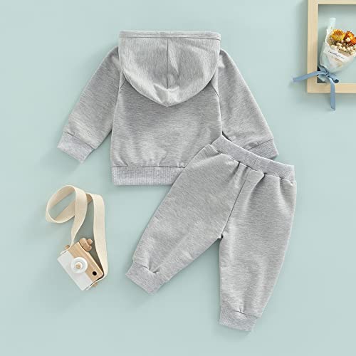 Toddler Baby Boy Girl Clothes Long Sleeve Hoodie Sweatshirt Tops+Drawstring Pants Set Fall Winter Tracksuit Outfits (Grey, 3-6 Months) by SOLILOQUY