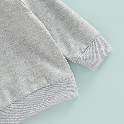 Toddler Baby Boy Girl Clothes Long Sleeve Hoodie Sweatshirt Tops+Drawstring Pants Set Fall Winter Tracksuit Outfits (Grey, 3-6 Months) by SOLILOQUY