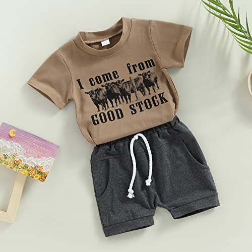 Western Baby Boy Summer Clothes Cow Print Short Sleeve T-Shirt Top Shorts Set 2Pcs Toddler Western Cowboy Outfits (A Coffee, 0-6 Months) from 