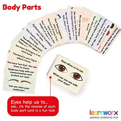 My First Flash Cards for Toddlers - 101 Cards - 202 Sides - Learn Shapes, Numbers, Colors, Body Parts, Counting, Letters & More - Fun Learning and Educational Flashcards from learnworx