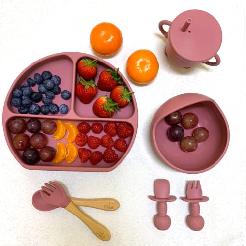o'doe Baby Led Weaning Feeding Supplies for Toddlers, Baby Feeding Set 17 Pcs | Suction Silicone Baby Bowl Self Eating with Fruit Feeder, Cup, Bibs, Food Plate Kit with Lid | Rose Pink V2 from o'doe