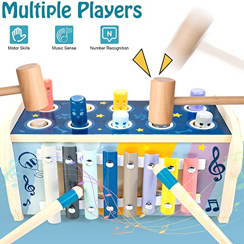 KIDWILL Wooden Hammering Pounding Toy, Educational Pegs Pound Maze Puzzle Number Sorter Musical Toy with Xylophone, Hammers, Mallets, Best Birthday Gifts for 1 2 3 4 Years Baby Toddler Boy Girl from KIDWILL