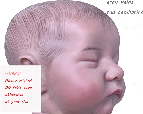 Anano Reborn Baby Levi Realistic Newborn Baby 19 inch 48cm Life Size Silicone Doll (Brown) from NANJING KERUITA INTERNET TECH CO.,LTD
