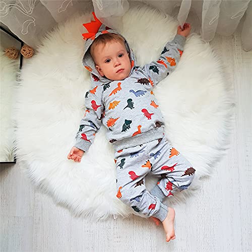 Toddler Infant Baby Boy Clothes Colored Dinosaurs Long Sleeve Hoodie Tops Sweatsuit Pants Outfit Set (18-24 Months) by 