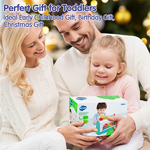 HOLA Toys for 1 Year Old Boy Gifts- 4 in1 Musical Pounding Toy with Xylophone, Baby Toys 12-18 Months, Learning & Education Toys for Toddler Toys Age 1-2 3, Montessori Toys for 1 Year Old Girl Gifts from HOLA