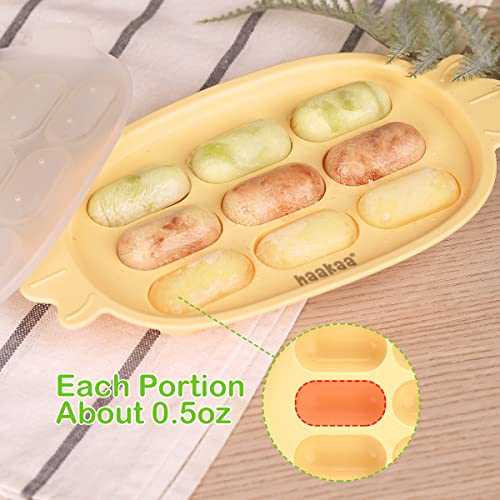 Haakaa Baby Fruit Food Feeder & Silicone Nibble Tray Combo - Breastmilk Popsicle Mold for Teething, Silicone Pacifier Feeder and Teether for Baby Teething & Infant Self Feeding by haakaa