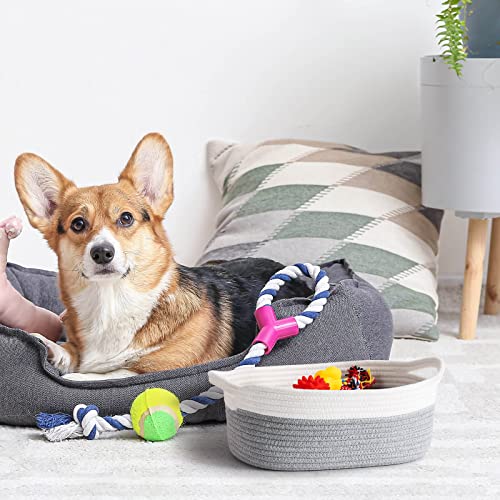 Goodpick Small Woven Basket Cute Gray Rope Basket Cotton Basket Baby Room Storage Basket Dog Toy Basket with Handles Empty Gift Basket for Shelf 12"x 8" x 5" Easter Basket Oval Candy Color Design from Goodpick