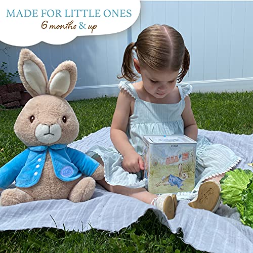 Beatrix Potter Peter Rabbit Jack-in-The-Box, Multi-colored, Standard by Kids Preferred