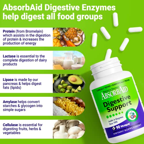 Nature's Sources AbsorbAid Digestive Support - 90 Vcaps by AbsorbAid