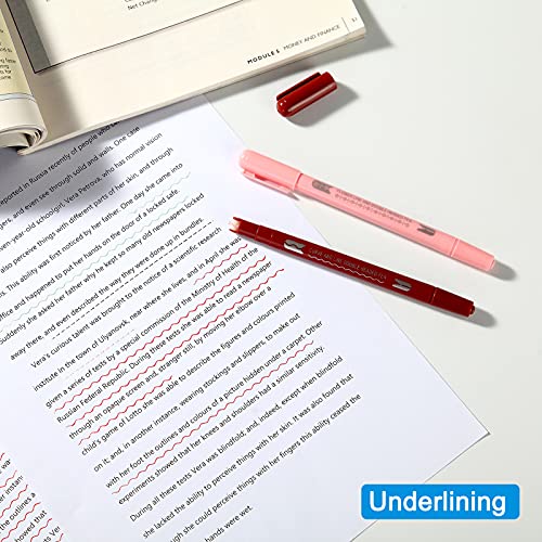 Aechy Colored Pens, Dual Tip Pens with 6 Different Curve Shapes & 8 Colors Fine Tips, Journal Planner Pens For Writing Bullet Journaling Note Taking Drawing Scrapbook Calendar Art Office School Supplies by AECHY