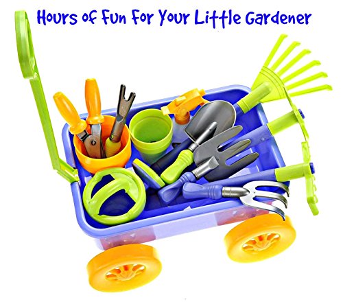 Dimple Garden Wagon & Tools Toy Set Premium 15Piece Gardening Tools & Wagon Toy Set â Sturdy & Durable - Top Yd, Beach, Sand, Garden Toy - Great for Kids & Toddlers (Garden Toy Set), Green (Single) by Dimple