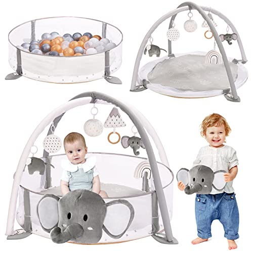 5-in-1 XL Large Baby Gym & Ball Pit, Play Mat & Play Gym, Combination Baby Activity Gym for Sensory Exploration and Motor Skill Development from Baby to Toddler, Balls are not Included from Crisschirs