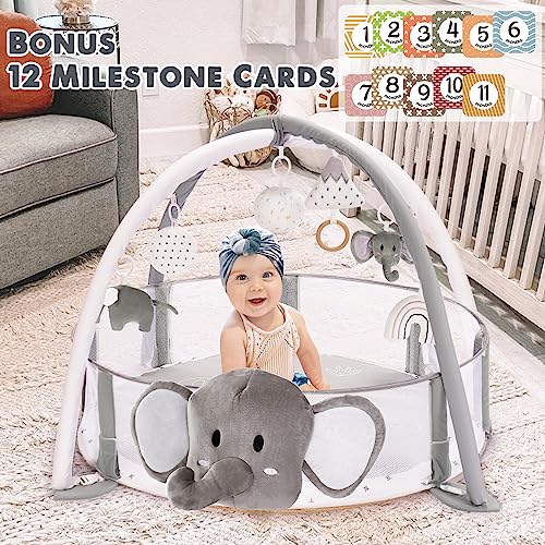 5-in-1 XL Large Baby Gym & Ball Pit, Play Mat & Play Gym, Combination Baby Activity Gym for Sensory Exploration and Motor Skill Development from Baby to Toddler, Balls are not Included from Crisschirs