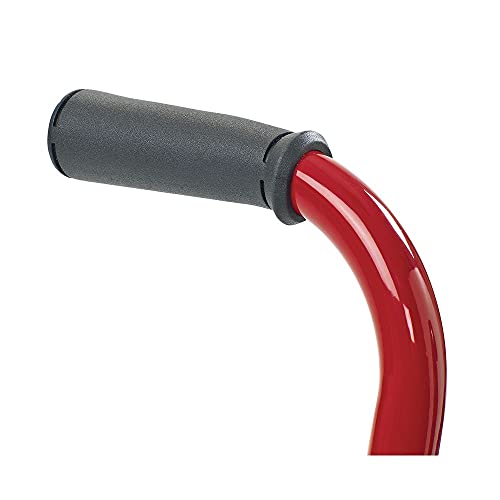 Angeles ClassicRider 12" Toddler Tricycle, Kids Big 3 Wheel Riding Toys, Girls/Boys Trikes, Preschool/Homeschool/Daycare, Blk/Red by Children's Factory