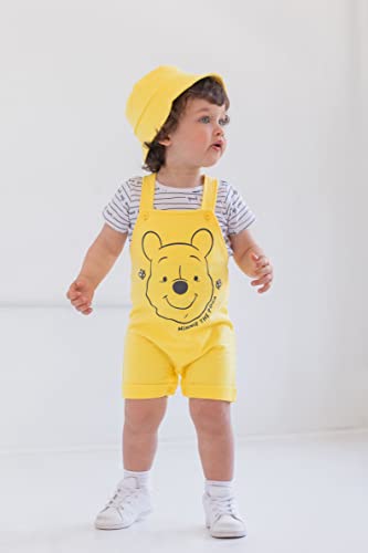 Disney Winnie the Pooh Baby Boys 3 Piece Outfit Set: Overalls T-Shirt Hat 12 Months from Bentex Group, Inc.
