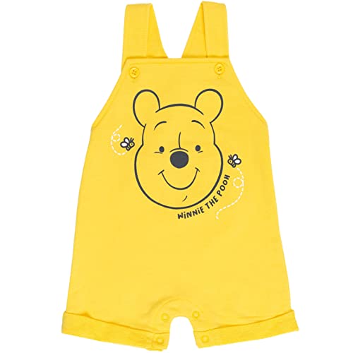 Disney Winnie the Pooh Baby Boys 3 Piece Outfit Set: Overalls T-Shirt Hat 12 Months from Bentex Group, Inc.