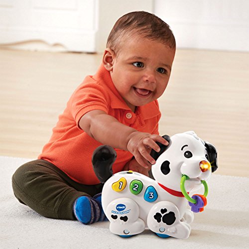 VTech Pull and Sing Puppy from V Tech