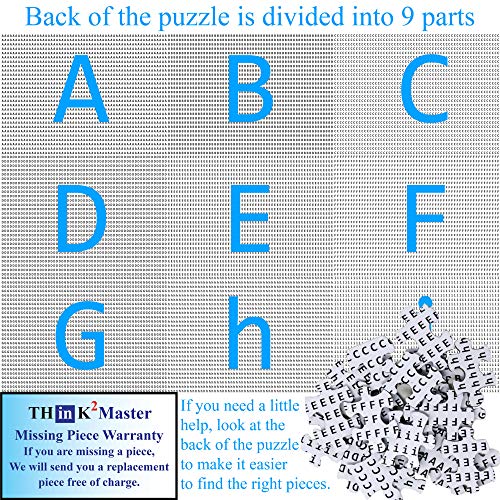Think2Master United States Map 250 Pieces Jigsaw Puzzle Fun Educational Toy for Kids, School & Families. Great Gift for Boys & Girls Ages 8+ to Stimulate Learning of USA. Size: 14.2â X 19.3â by Think2Master