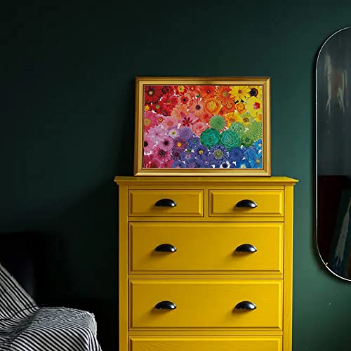 Jigsaw Puzzles 1000 Pieces for Adults,Rainbow Flower Jigsaw Puzzle,1000 Piece Jigsaw Puzzles Artwork Gifts for Adults Teens Families-27.5x19.6IN by TTXiXi