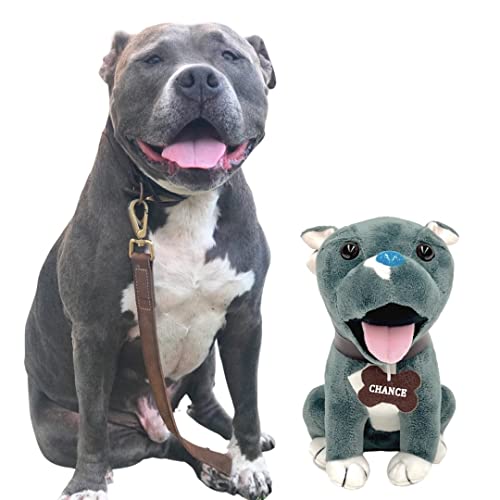 Limited Edition Stuffed Animal Toy, Pit Bull Dog Plush Doll, Based On Children's Book Chance The Blue-Nosed Reindeer by Adorable World