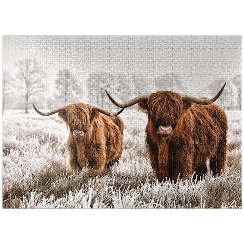 Hairy Scottish Highland Cattle in A Winter Landscape - Premium 1000 Piece Jigsaw Puzzle for Adults by MyPuzzle LLC