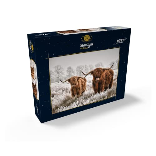 Hairy Scottish Highland Cattle in A Winter Landscape - Premium 1000 Piece Jigsaw Puzzle for Adults by MyPuzzle LLC