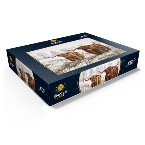 Hairy Scottish Highland Cattle in A Winter Landscape - Premium 1000 Piece Jigsaw Puzzle for Adults by MyPuzzle LLC