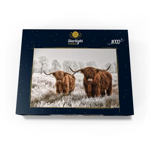 Hairy Scottish Highland Cattle in A Winter Landscape - Premium 1000 Piece Jigsaw Puzzle for Adults by MyPuzzle LLC