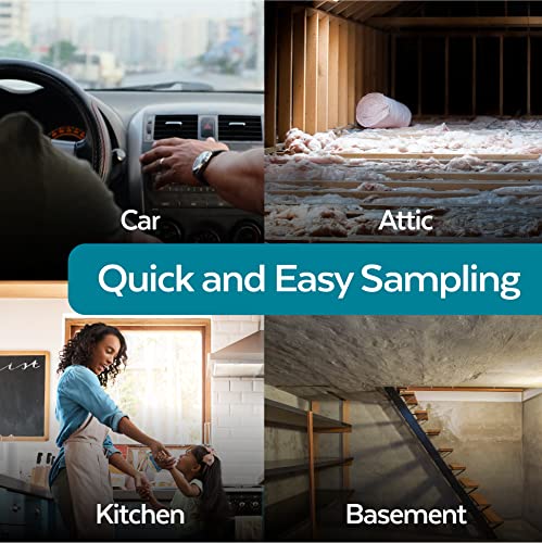 ImmunoLytics DIY Mold Test Kit for Home - Easy to Use Professional Mold Testing Kit - Individual Room Screening Package - Includes Lab Analysis (7 Rooms/Plates) from ImmunoLytics