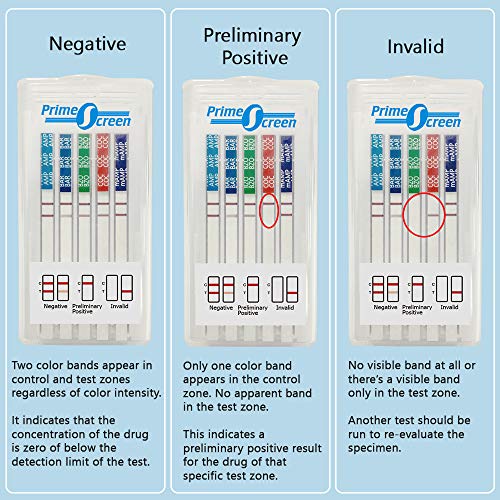 Prime Screen [100 Pack] 6 Panel Oral Saliva Drug Test Kit, Employment and Insurance Testing (AMP, COC, MET, OPI, PCP, THC) - ODOA-166 by Wondfo
