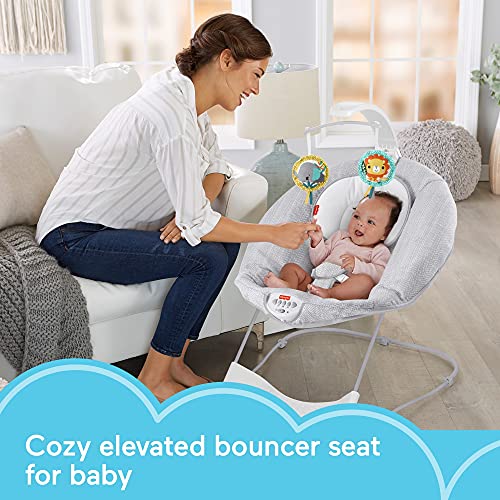 Fisher-Price See & Soothe Deluxe Bouncer - Hearthstone, soothing baby seat for infants and newborns [Amazon Exclusive] from Fisher-Price