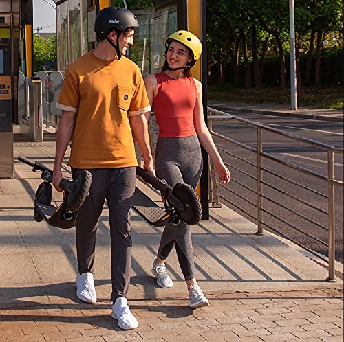 Segway Ninebot E25A Electric Kick Scooter- 300W Motor, 15.5 Miles Range & 17.4 MPH, 9" Tires, Shock Absorber, Commuter E Scooter for Adults by âNinebot (Changzhou) Tech Co., Ltd
