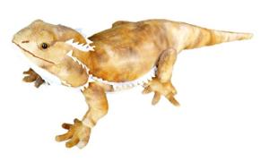 Adore 21" Pogo The Bearded Dragon Lizard Stuffed Animal Plush Toy by Adore Plush Company