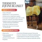Thermotex Equine Far Infrared Heating - 12 Pad Blanket - Heat Therapy, Discomfort Relief, Warming Aid from Thermotex