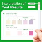 Easy@Home 10 Individual Pouch Urinary Tract Infection FSA Eligible Test Strips, UTI Urine Testing Kit for Urinalysis and Detection of Leukocytes and Nitrites-FDA Cleared for OTC use (UTI-10P) by Easy Healthcare Corporation